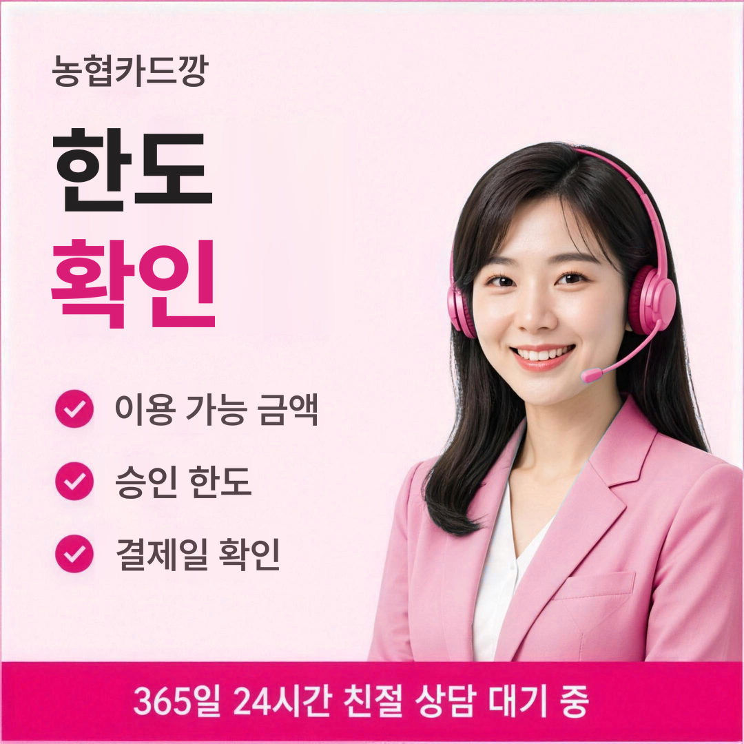 다음머니 농협카드깡 한도 확인 안내