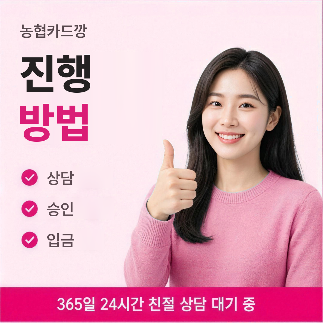 다음머니 농협카드깡 진행 방법 안내